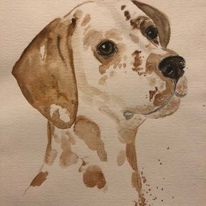 Original watercolor Dalmatian dog painting